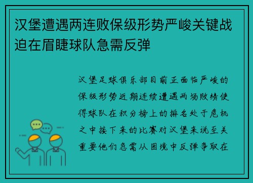 汉堡遭遇两连败保级形势严峻关键战迫在眉睫球队急需反弹
